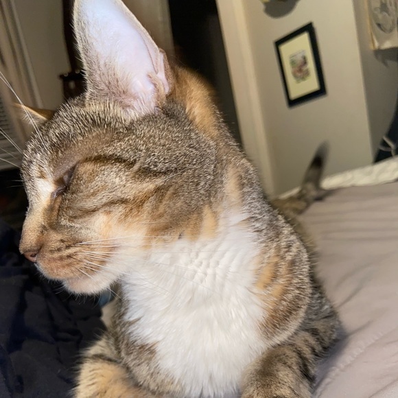 Meet your Posher, Ashley - Picture 1 of 1